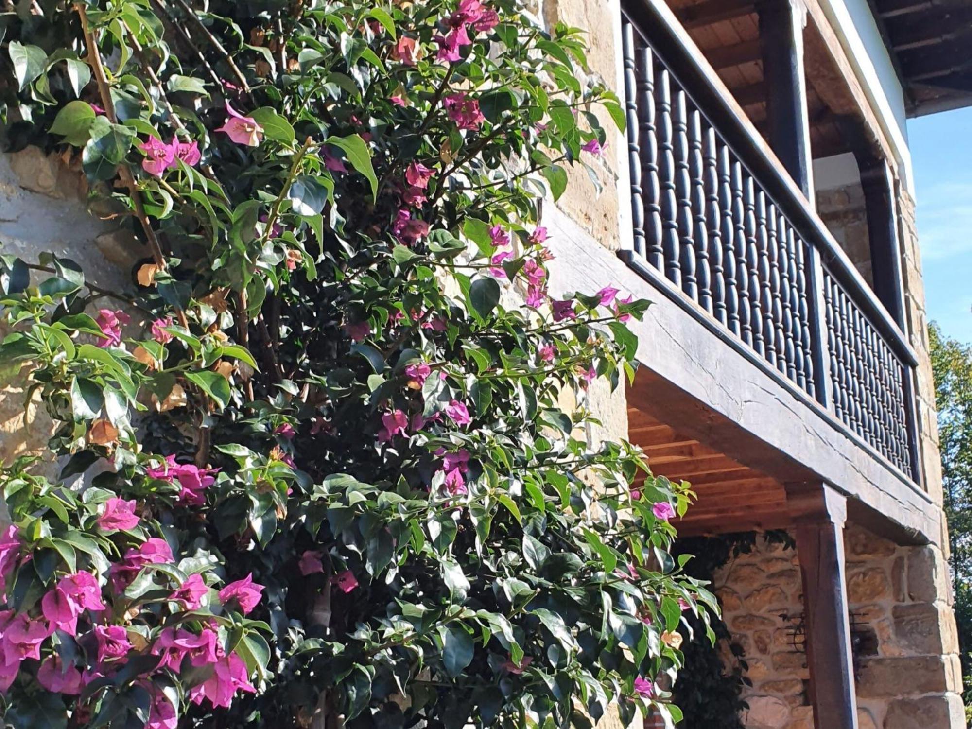 Villa La Torre Arriondas Exterior foto